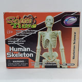 Eastcolight Human Skeleton