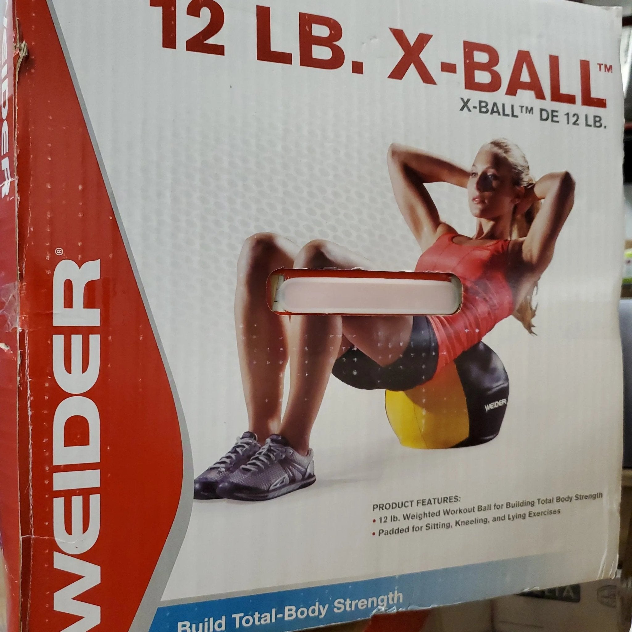 12 lbs. Weighted Exercise Ball - Bargainwizz