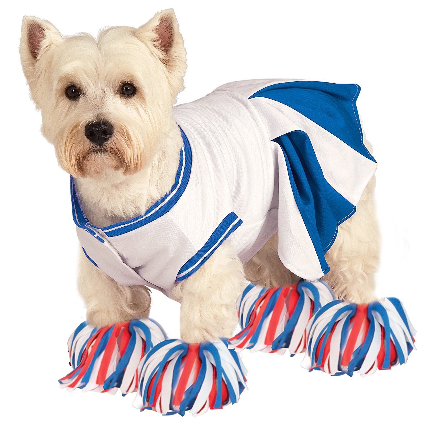Deluxe Cheerleader Pet Costume - Bargainwizz