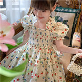 Floral Lace Princess Birthday Dress - Bargainwizz