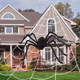 Giant Spider and Web Outdoor Decorations
