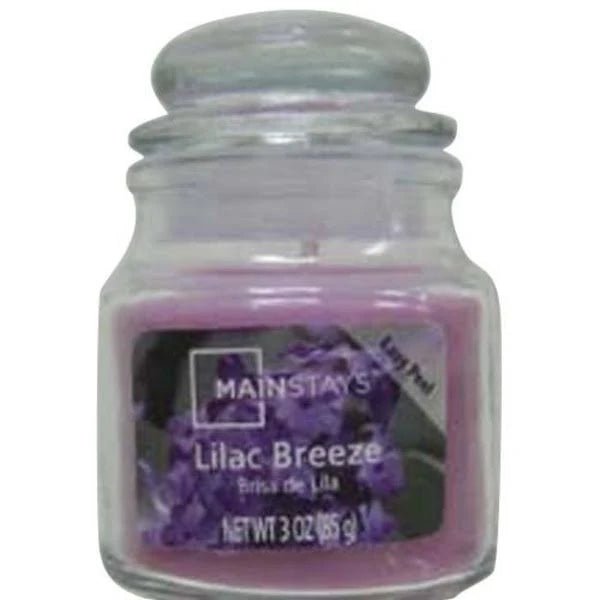 Mainstays Lilac Breeze Jar Candle - Bargainwizz