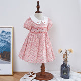 Smocked Hand Embroidered Girl Dress - Bargainwizz